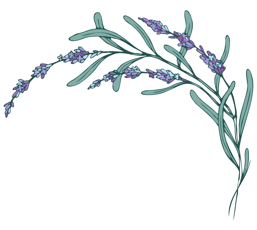 Bless Your Nest logo